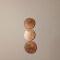 Di.125. Moneda 1 leu 1996 tiraj mic