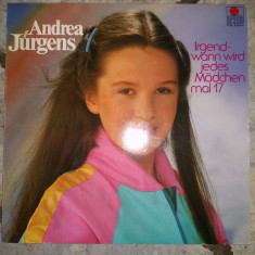 Disc de Vinil - Andrea Jürgens–Irgendwann Wird Jedes Mädchen Mal 17 vinyl