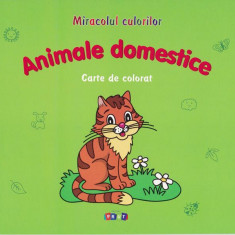 Animale domestice. Carte de colorat - Paperback - Victoria Raţă - Prut