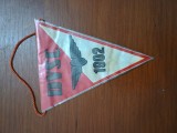 fanion MIC DVSC 1902