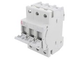 Separator cu Fuzibil D01 10A 400V 3 Poli pentru Șină DIN