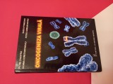 Oncogeneza virala - Petre CalistruI, leana Constantinescu, Radu Iftimovici, Petru-Adrian Muțiu
