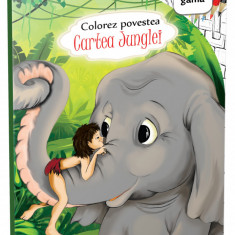 Cartea Junglei Colorez povestea