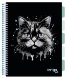 Caiet cu Spirala si Separatoare Strigo Pads Project Book PISICA A4, Dictando