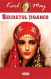 Secretul tigancii - Karl May - Carte Beletristica Aventura