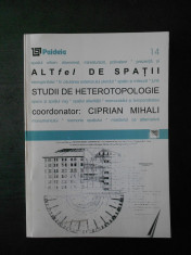 ALTFEL DE SPATII. STUDII DE HETEROTOPOLOGIE coordonator: CIPRIAN MIHALI foto