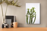 Tablou Canvas, "Cactus &icirc;n lumina dimineții", Cactus, Verde, Frunze, Perete, Natural, Simplu, Contrast, Minimalist, Peisaj., 26 x 39 cm, CMCLASS