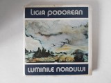 Ligia Podorean - Luminile Nordului. Album de pictura