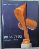 MATEI ST&Icirc;RCEA-CRĂCIUN: CONSTANTIN BRANCUSI, LIMBAJELE MATERIEI/SIMBOLISM HYLESIC:STUDIU DE HERMENEUTICA A SCULPTURII ABSTRACTE/2010/DEDICATIE-AUTOGRAF