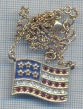 AZ 485 MEDALIE -MEDALION - SIMBOL STILIZAT DRAPELUL STATELOR UNITE ALE AMERICII