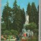 CPIB 15206 - CARTE POSTALA - VATRA DORNEI. IZVORUL DE APA MINERALA &quot;23 AUGUST&quot;