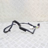 Cablaj ușă dreapta spate TESLA MODEL X 2020 OEM: 1063406-00-G 21096022