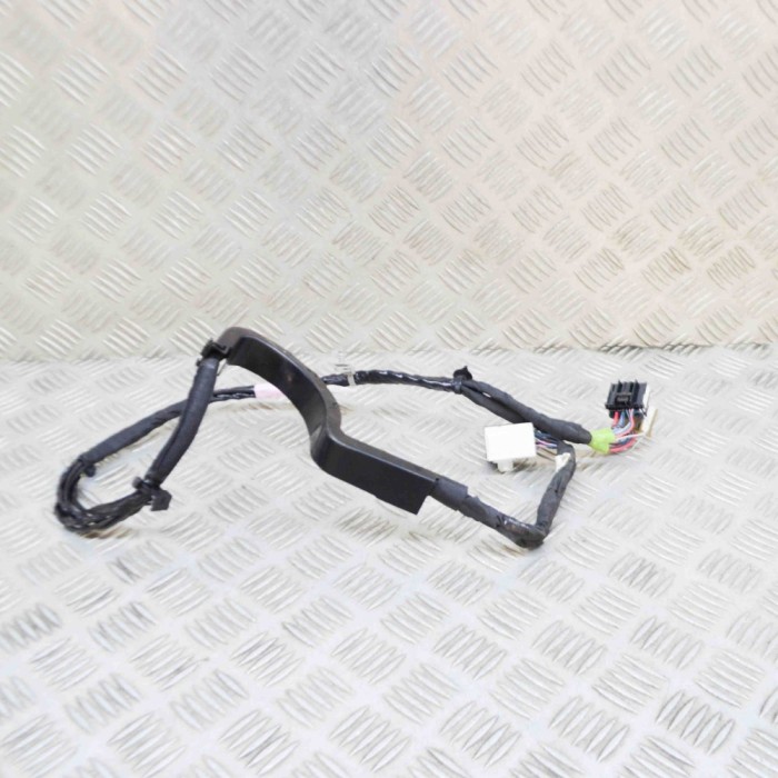Cablaj ușă dreapta spate TESLA MODEL X 2020 OEM: 1063406-00-G 21096022