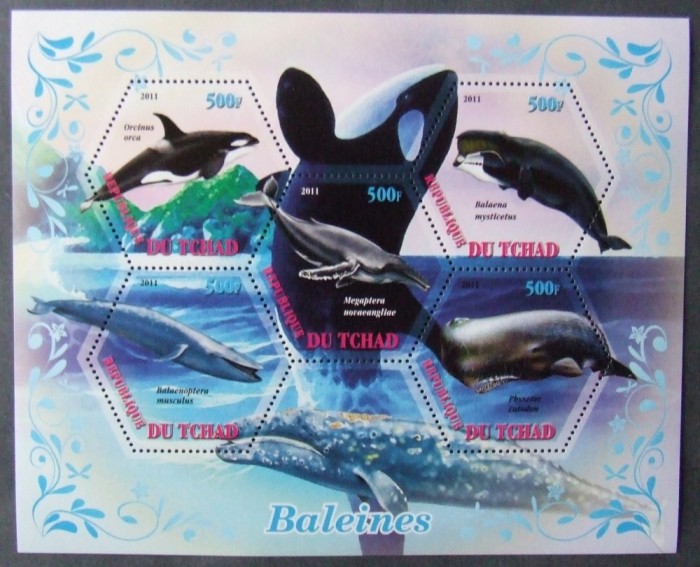 R.DU TCHAD -BALENE, -2011, 1 M/SH, NEOBLIT.MNH** - EP 005