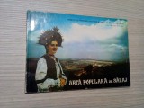 ARTA POULARA DIN SALAJ - Viorel Mezei (grafica) - 1969, album; tiraj: 4000 ex., Alta editura