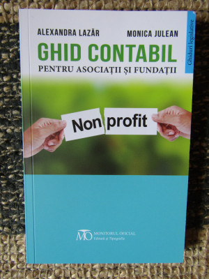 Ghid contabil pentru asociatii si fundatii-ALEXANDRA LAZAR /MONICA JULEAN foto