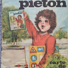 Micul pieton, carte de colorat 1981, C Gradinaru, D. Ristea, ed Ion Creanga