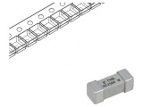 Siguranță &Icirc;nt&acirc;rziere 4A 250V SMD Ceramică, Littelfuse