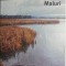Maluri &ndash; Tudor Cretu