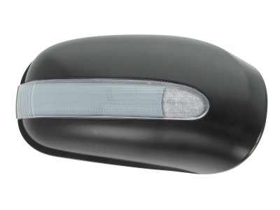 Carcasa oglinda exterioara Mercedes Clasa S (W220) 10.1998-2002, Mercedes Clasa CL (C215) 09.1999-12.2005, Dreapta, carcasa neagra, View Max, 2208100 foto