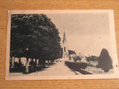 QW24 L - Carte postala - tematica turism - vedere - Lugoj 11 foto
