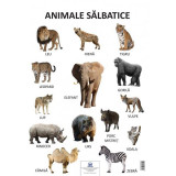 Planșă - Animale sălbatice - Paperback - *** - Didactica Publishing House