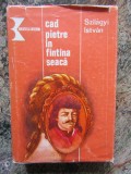 SZILAGYI ISTVAN - CAD PIETRE IN FANTANA SEACA, 1984