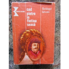 SZILAGYI ISTVAN - CAD PIETRE IN FANTANA SEACA, 1984