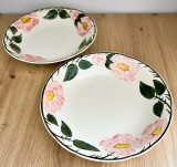 Farfurie supa - Villeroy and Boch - Wild Rose - 2 persoane