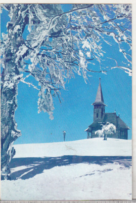 bnk cp Peisaj de iarna pe Muntele Semenic - Vedere- necirculata foto