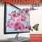 Editarea foto pe intelesul tuturor PHOTOSHOP CSS