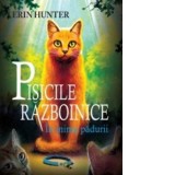 Pisicile razboinice. Cartea I. In inima padurii (volumul 1) - Erin Hunter, Ramona Cordos