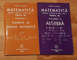 Manuale matematica clasa XII, profil M1 Mircea Ganga (2 vol)