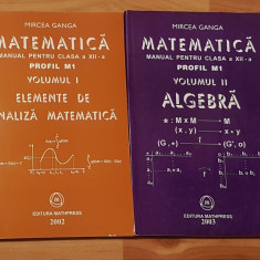 Manuale matematica clasa XII, profil M1 Mircea Ganga (2 vol)