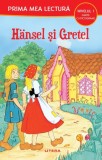 Cumpara ieftin H&auml;nsel si Gretel (Nivelul 1 Carte cu pictograme)