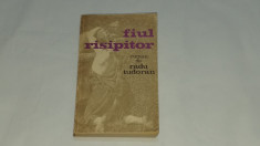 RADU TUDORAN - FIUL RISIPITOR foto