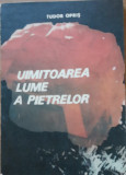 UIMITOAREA LUME A PIETRELOR - TUDOR OPRIS