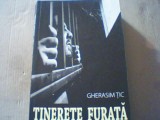 Gherasim Tic - TINERETE FURATA ( 2017 ), Alta editura