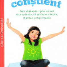 Copilul constient - Susan Kaiser Greenland