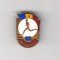 Insigna Polisportiv clasa a II-a