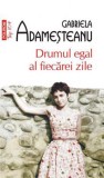 Drumul egal al fiecarei zile - Gabriela Adamesteanu - Editura Polirom