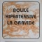 BOLILE HIPERTENSIVE LA GRAVIDE-IOANA DANA ALEXA-253165