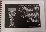 myh 31f - R Carmaciu - Anatomia si fiziologia omului - indrumator pentru elevi - 2 volume - xerox