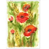 E129. Tablou Maci si Spice Aurii, in acuarela hartie, neinramat, 21x29 cm