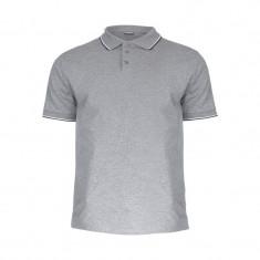 TRICOU BUMBAC POLO SUBTIRE / GRI - L