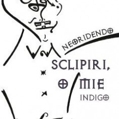 Sclipiri, o mie Vol.2: Indigo - Neoridendo
