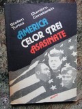 AMERICA CELOR TREI ASASINATE - STELIAN ȚURLEA, DUMITRU CONSTANTIN