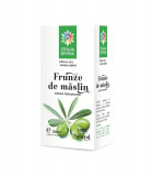 Tinctura Frunze de Maslin Santo Raphael 50ml