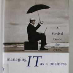 MANAGING IT AS A BUSINESS , A SURVIVAL GUIDE FOR CEO s by MARK D. LUTCHEN , 2004