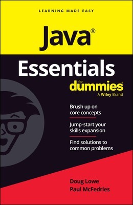 Java Essentials for Dummies foto
